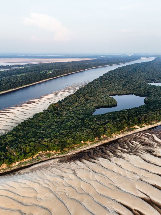 A winding river surrounded by Amazon rainforest